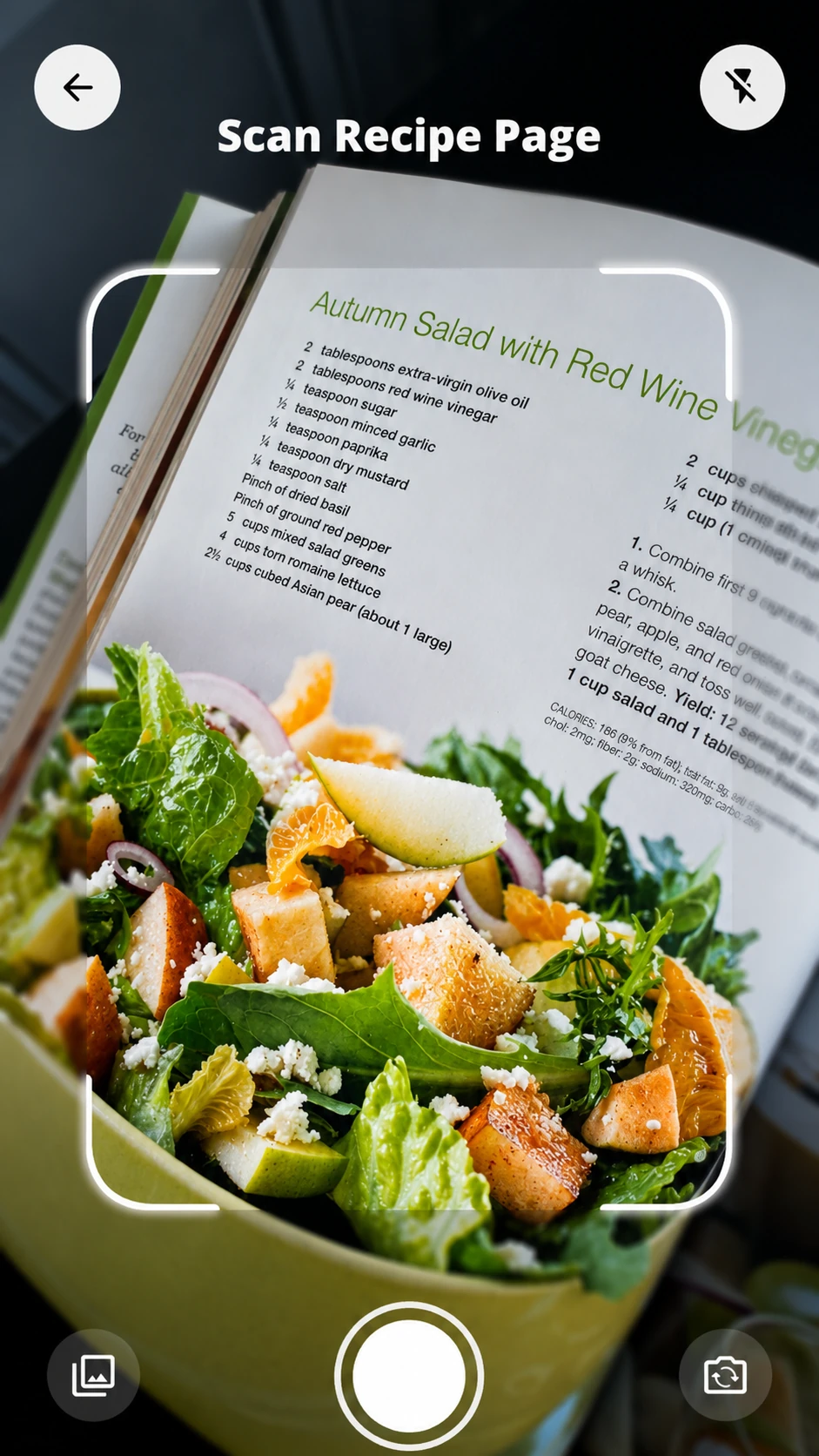 Grocery AI scan screen capturing a recipe page from a cookbook